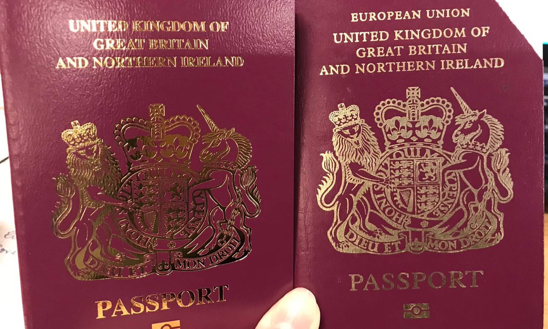  Passport And Visa