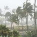 How to Buy Hurricane Travel Insurance 8