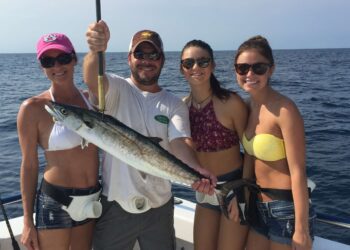 An Immersive Marine Experience for Nature Enthusiasts With Fishing Charters 1