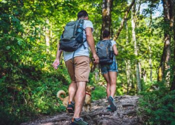 Hiking and Outdoor Adventures: Connecting with Nature 3